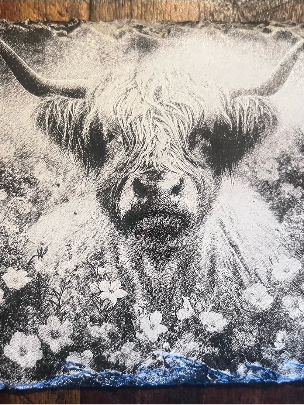 Rustic Highland Cow slate coaster